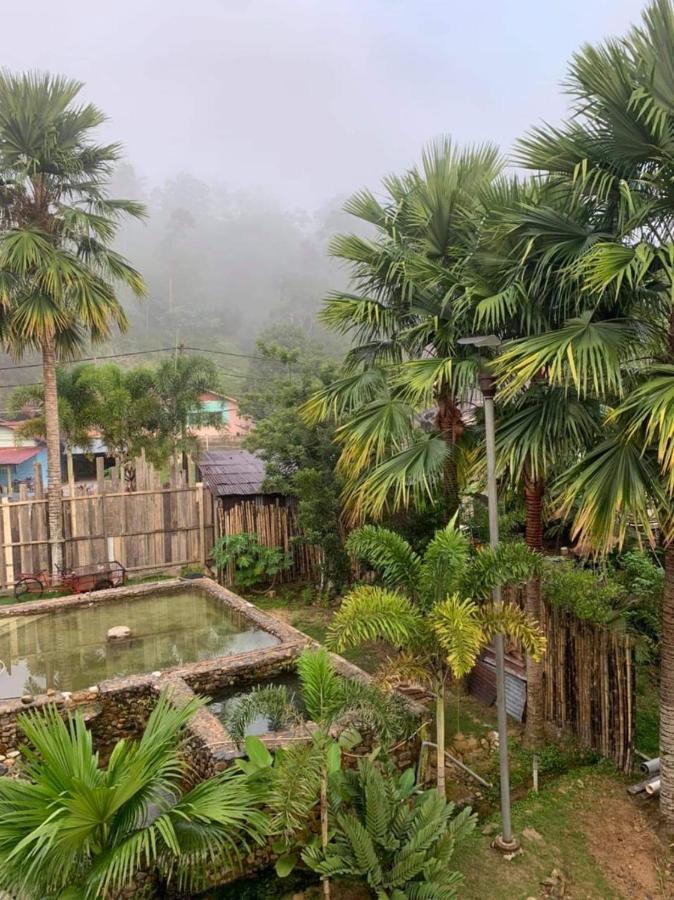Riverside Palm Inn Sg Lembing Sungai Lembing Luaran gambar