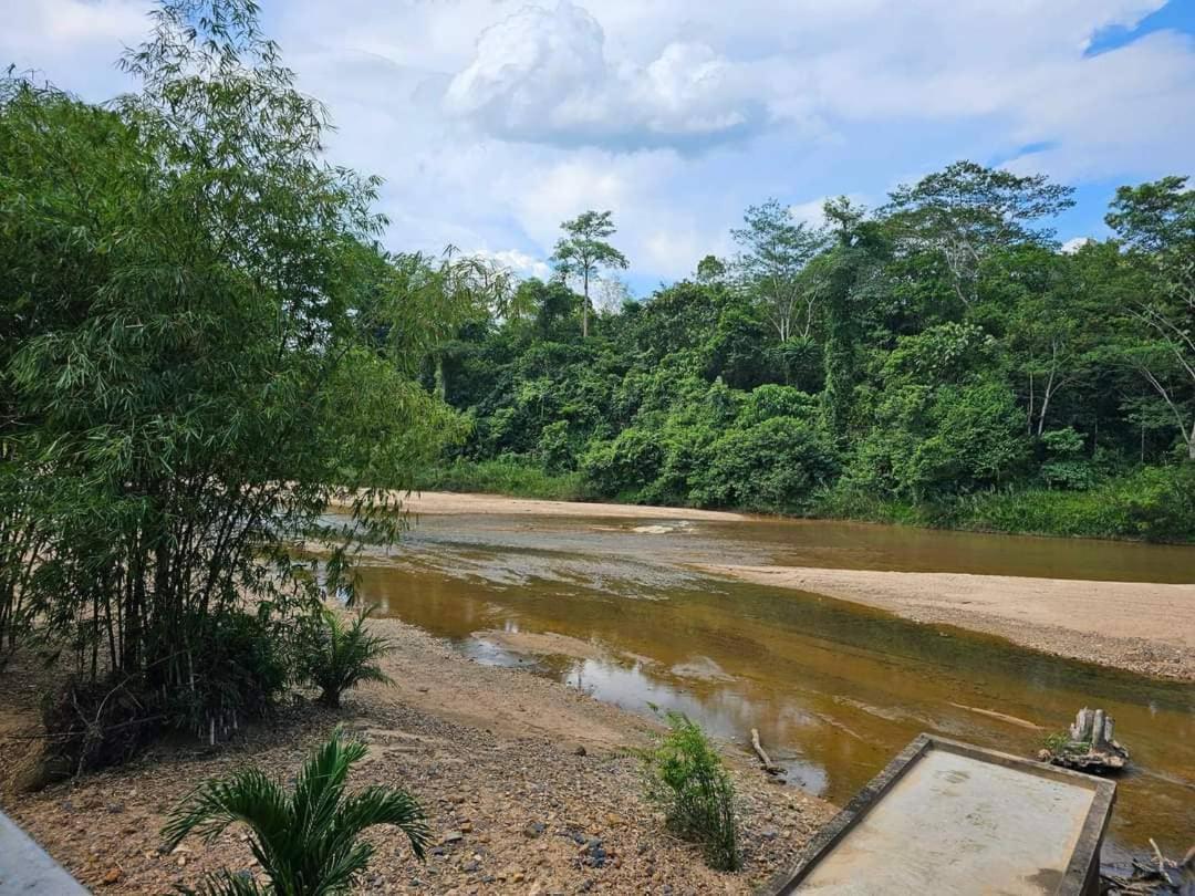 Riverside Palm Inn Sg Lembing Sungai Lembing Luaran gambar